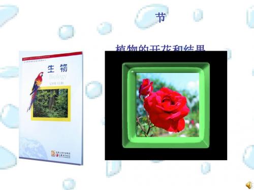 植物的开花和结果课件PPT 5