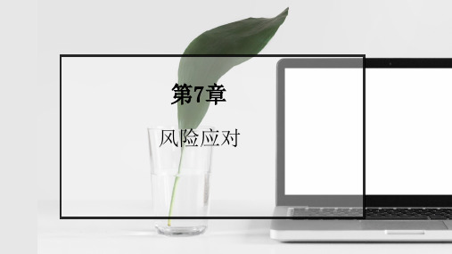 第七章 风险应对