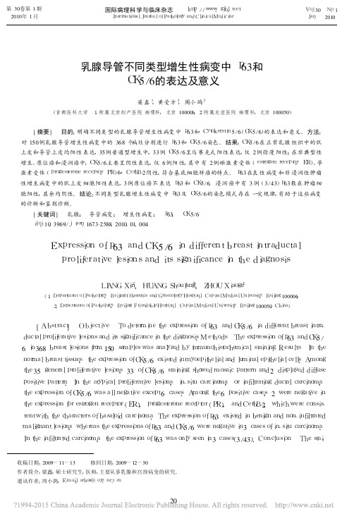 乳腺导管不同类型增生性病变中p63和CK5_6的表达及意义_梁鑫