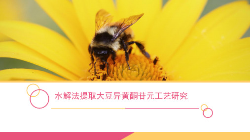 水解法提取大豆异黄酮苷元工艺研究