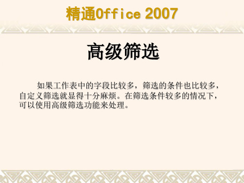 Excel 2007  数据管理PPT精品文档51页