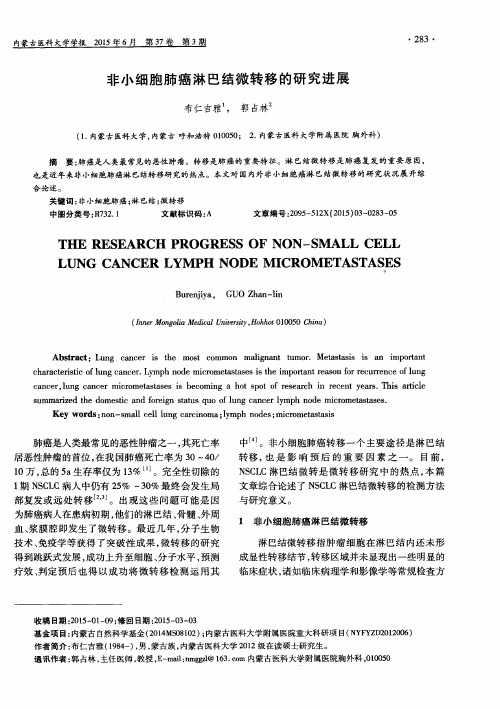 非小细胞肺癌淋巴结微转移的研究进展