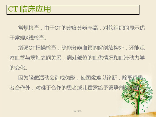 头颅CT  ppt课件