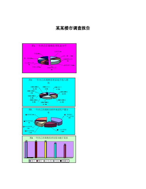 某某楼市调查报告
