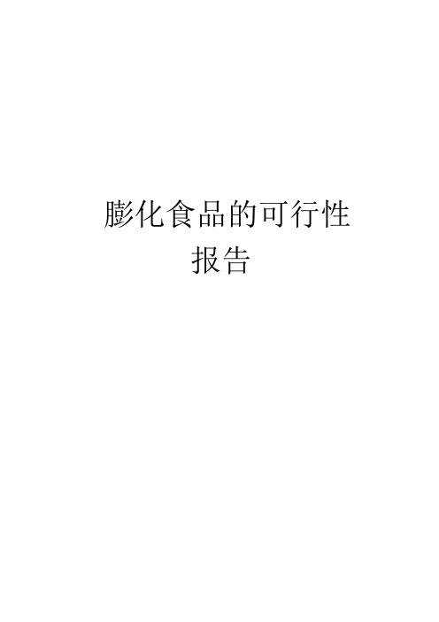 膨化食品项目建设可行性建设可研报告