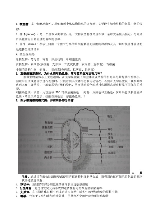 微生物思考题