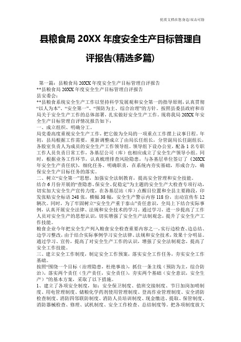 县粮食局20XX年度安全生产目标管理自评报告(精选多篇)