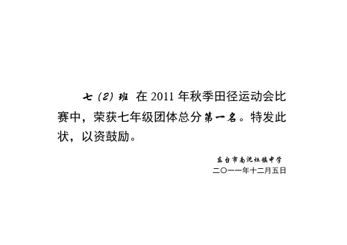 团体总分奖状