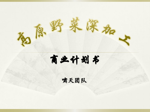 野菜加工销售商业计划书