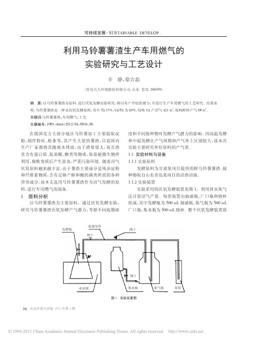 利用马铃薯薯渣生产车用燃气的实验研究与工艺设计_辛静
