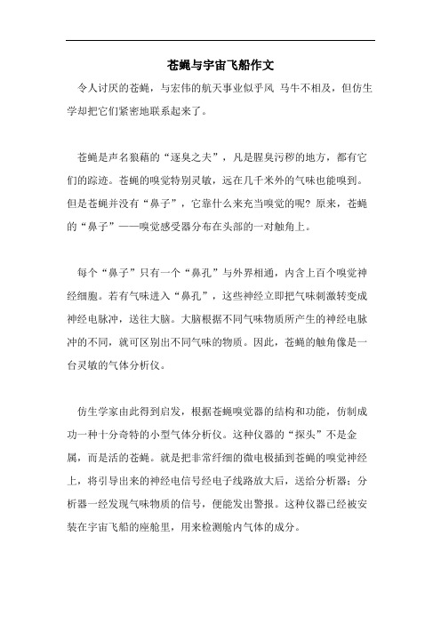 苍蝇与宇宙飞船作文