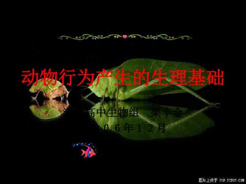 动物行为产生的生理基础