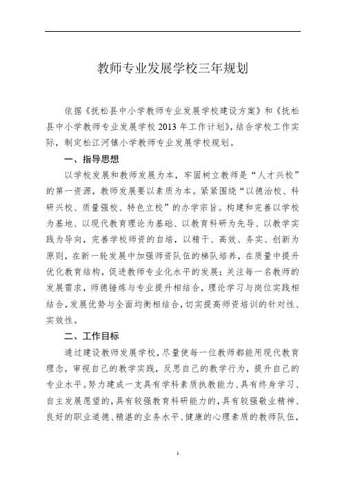 教师专业发展学校三年规划