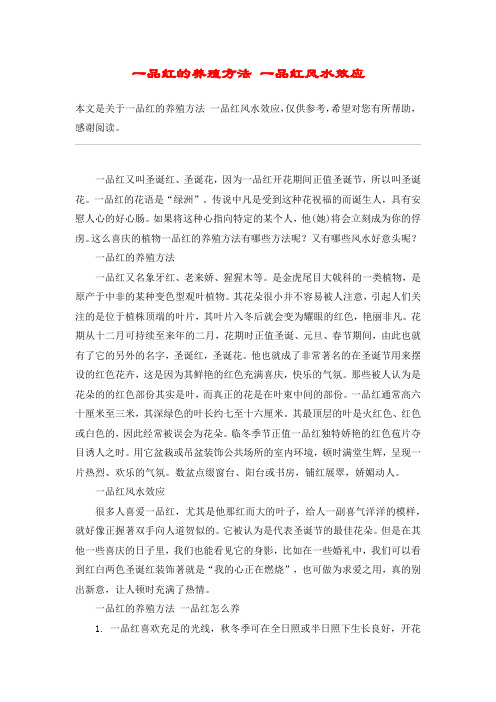 一品红的养殖方法 一品红风水效应