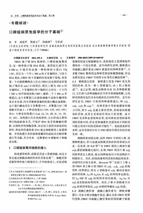 口蹄疫病原免疫学的分子基础
