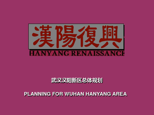 武汉汉阳新区总体规划