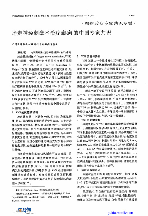 2015迷走神经刺激术治疗癫(癎)的中国专家共识