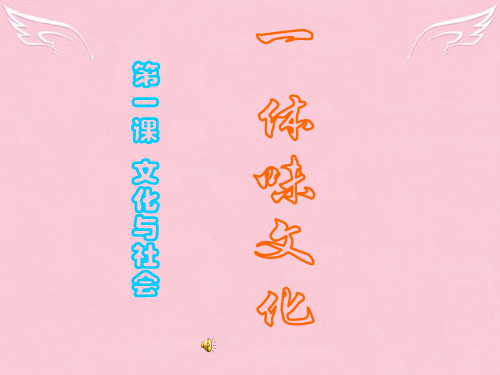 高二政治思想政治《文化生活》第一单元第一课《体味文化》课件新人教版必修3