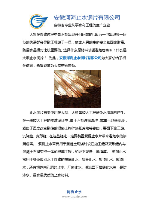 大坝止水铜片