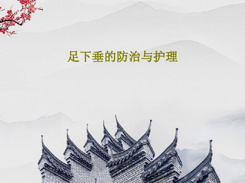 足下垂的防治与护理31页PPT