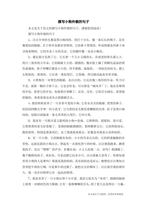 描写小狗外貌的句子_范文