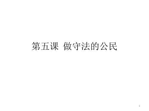 做守法的公民复习大纲PPT