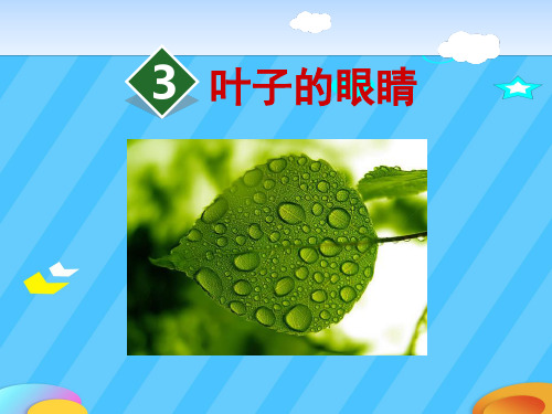 《叶子的眼睛》PPT课件【精选推荐下载】