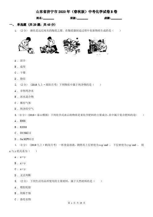 山东省济宁市2020年(春秋版)中考化学试卷B卷