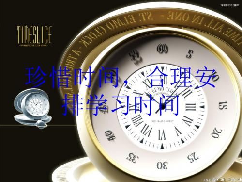 我的小计划