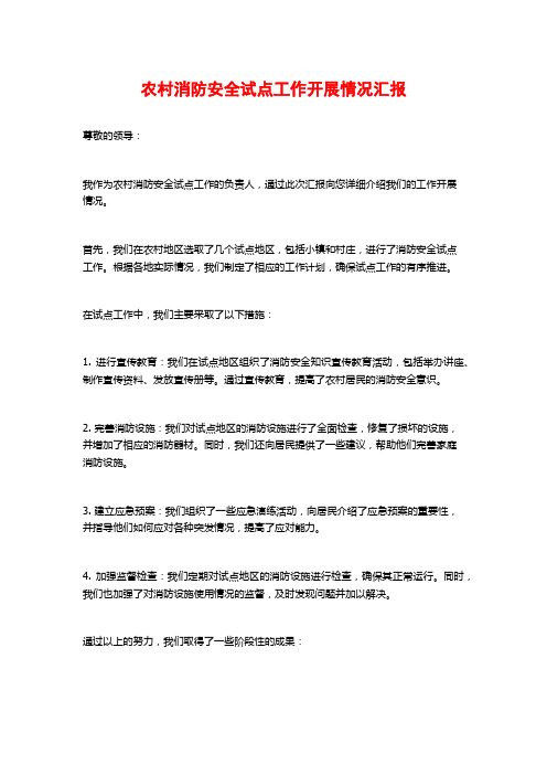 农村消防安全试点工作开展情况汇报