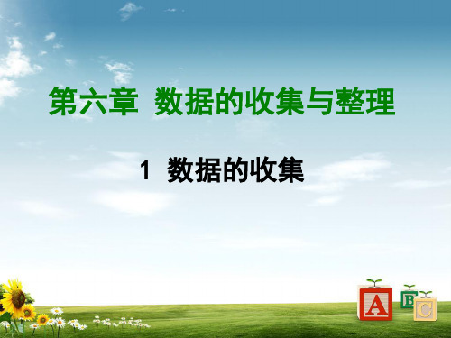 北师大版七年级数学上册课件：第六章1  数据的收集 (共28张PPT)