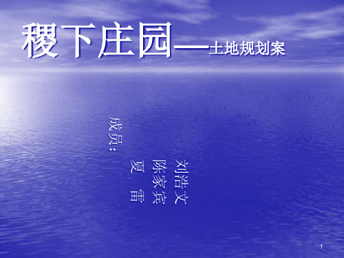 别墅地产项目规划设计方案.pptx