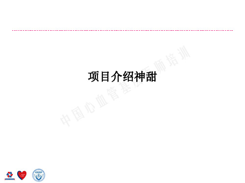 项目介绍神甜PPT课件