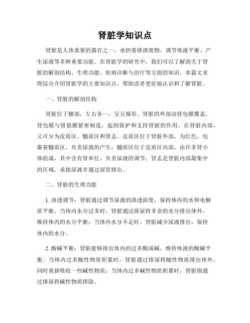 肾脏学知识点