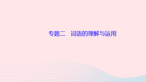 八年级语文上册期末专题复习二词语的理解与运用作业ppt课件新人教版