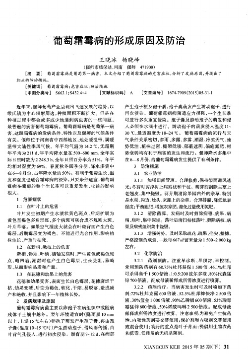 葡萄霜霉病的形成原因及防治
