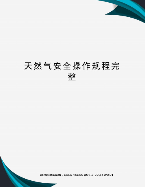 天然气安全操作规程完整