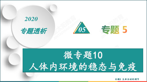 专题5  微专题10  人体内环境的稳态与免疫