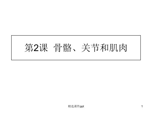 第课骨骼关节和肌肉ppt课件
