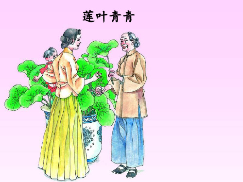 四年级下册语文课件-课文17《莲叶青青》语文S版 (共13张PPT)