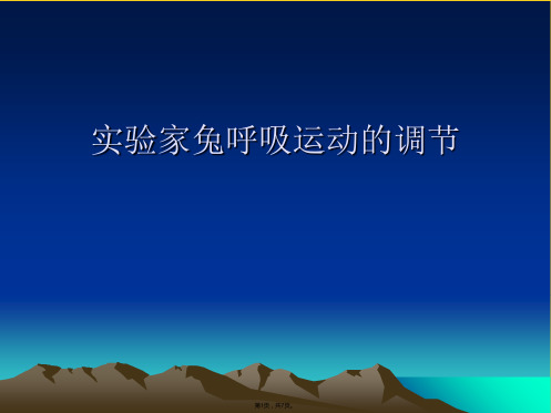 实验家兔呼吸运动的调节(共7张PPT)