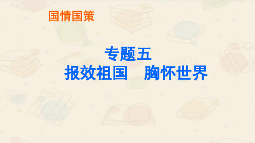 中考道法专题复习 (8)