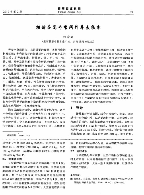 幼龄茶园冬季间作荞麦技术