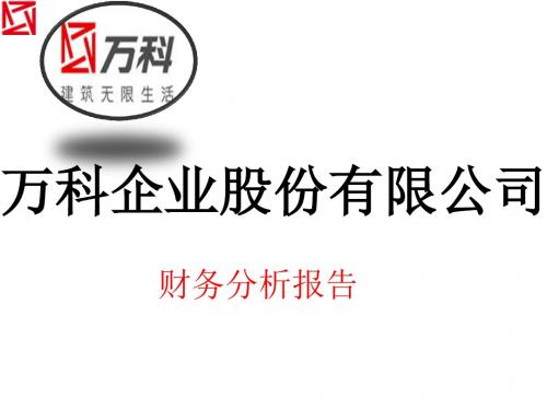 某公司财务报告与战略管理知识分析(PPT94张)