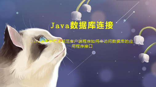 Java数据库连接