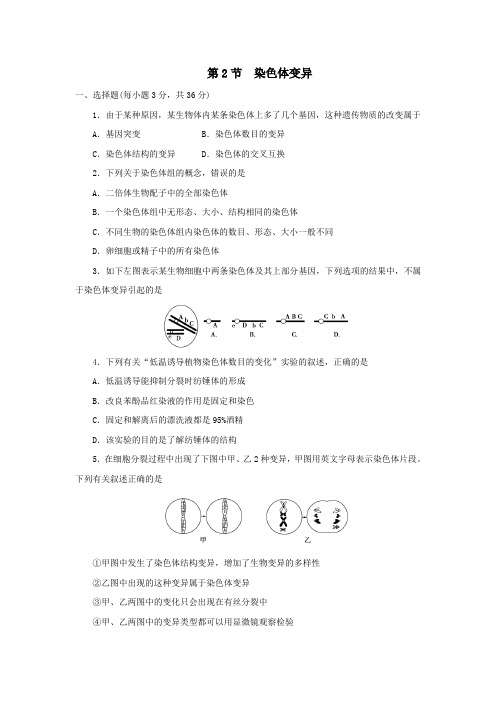 2019-2020年高一生物人教版必修2一课一练：5.2 染色体变异