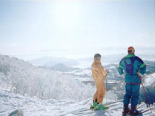 综合复习《养花》