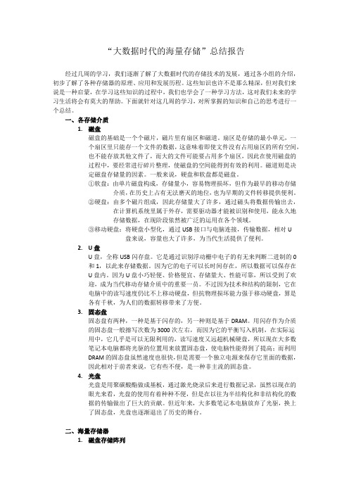 “大数据时代的海量存储”总结报告