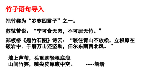 人教版选修《中国古代诗歌散文欣赏》第五单元《文与可画筼筜谷偃竹记》课件 (51张PPT)