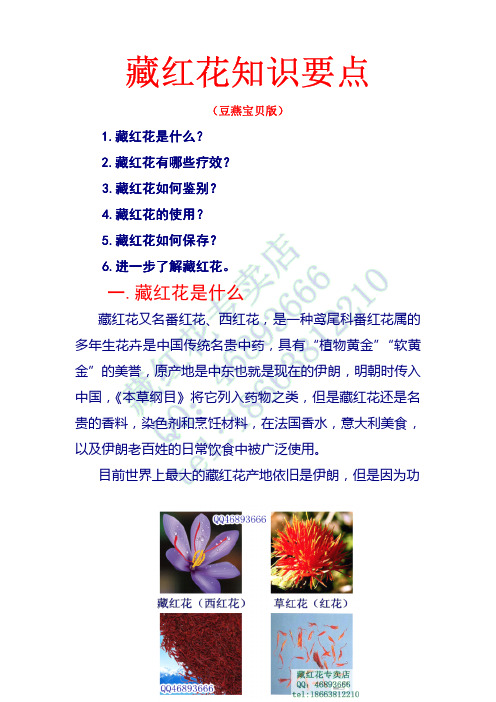 藏红花知识要点-豆燕宝贝专用版